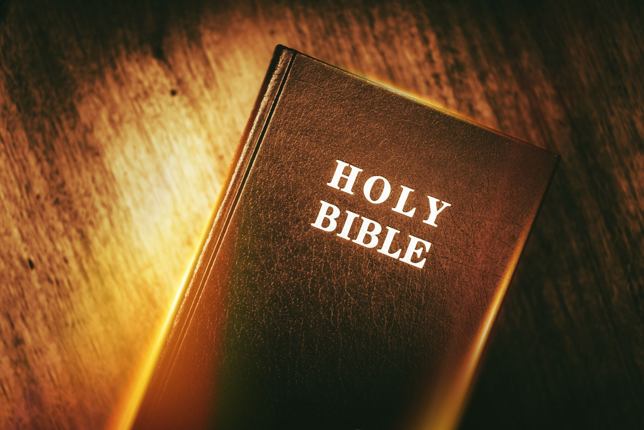 Bible Passage Summary